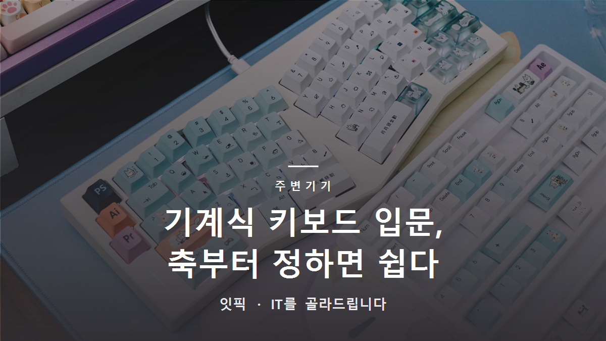 기계식 키보드 입문, 스위치부터 정하면 쉽다